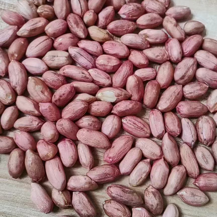 PEANUT KERNEL